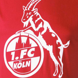 1. FC Köln T-Shirt Basic - ROT - Shirt | Gr. S-5XL