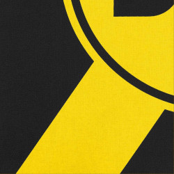 Borussia Dortmund Klappsitzkissen - schwarz-gelb - Sitzkissen Stadion Kissen BVB 09