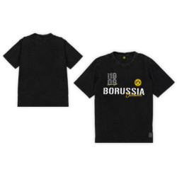 Borussia Dortmund T-Shirt - Elements - schwarz | Used-Look | Shirt | BVB 09 - Gr. S bis 3XL
