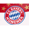 FC Bayern München XXL Hissfahne - 5 Sterne Logo - 250 x 150 cm Flagge FCB