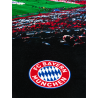 FC Bayern München Strandtuch - Allianz Arena - 90 x 180 cm Badetuch Duschtuch Handtuch FCB