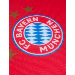 FC Bayern München Sonnenblende 2er Set Sichtschutz Blendschutz FCB