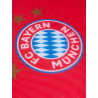 FC Bayern München Sonnenblende 2er Set Sichtschutz Blendschutz FCB