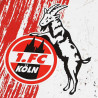 1. FC Köln Metallschild - Logo - rot-weiß Schild Blechschild Used Look
