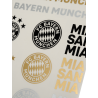 FC Bayern München Aufkleberkarte - Schriftzüge & Logo - 12er Set schwarz-gold-silber Aufkleber Sticker FCB
