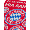 FC Bayern München Aufkleberkarte - Logo - 9er Set Aufkleber Sticker FCB