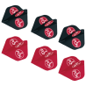1. FC Nürnberg Dartpfeil-Flights - 6er Set - Dartflights FCN