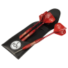 1. FC Nürnberg Steeldarts ROT Dartpfeile mit Etui und Flights Dart Pfeile FCN