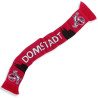 1. FC Köln Strickschal - Domstadt - Fanschal Schal
