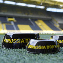 Borussia Dortmund Fressnapf Edelstahl 350 ml Hundenapf Katzen Napf BVB 09
