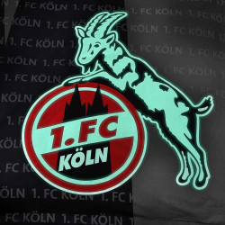 1. FC Köln Bettwäsche Leuchtend - Dom - Glow in the dark 2-teilig (Bezug / Kissen) 135 x 200 cm