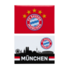 FC Bayern München Magnet 2er Set - Logo & Skyline - Kühlschrankmagnet FCB