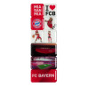 FC Bayern München Magnet-Set 9 teilig Magnet Set Kühlschrankmagnet FCB