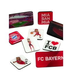 FC Bayern München Magnet-Set 9 teilig Magnet Set Kühlschrankmagnet FCB