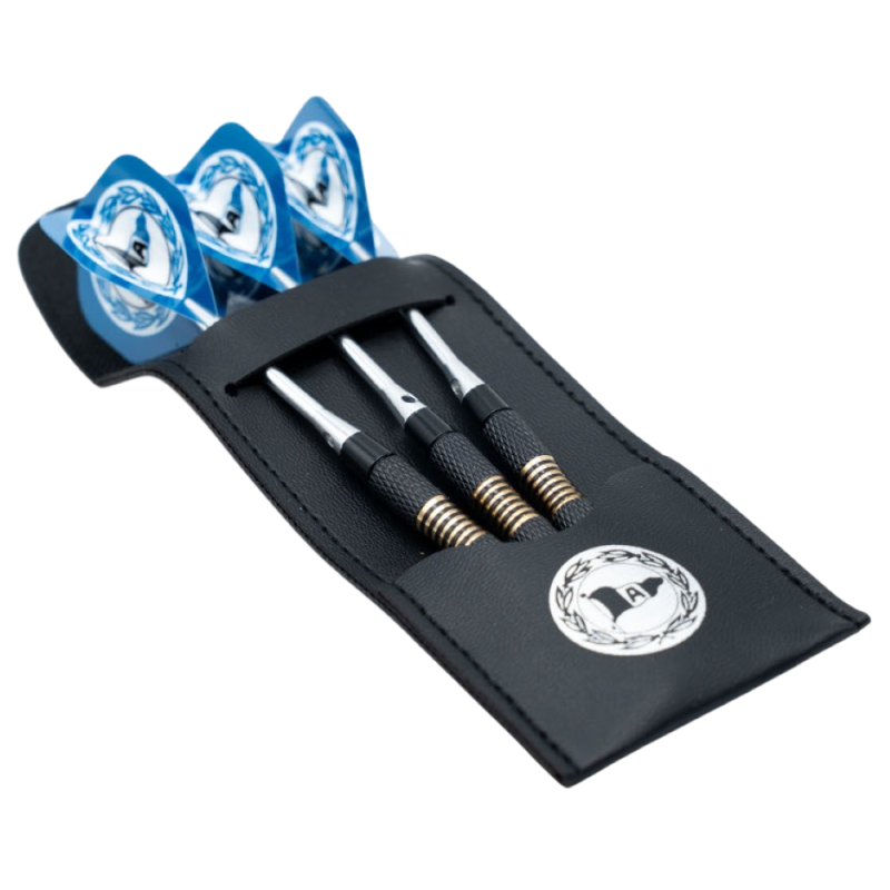 Arminia Bielefeld Dartpfeile mit Etui und Flights | Steeldarts | Dart Pfeile | DSC