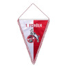 1. FC Köln Seidenwimpel XXL Wimpel 38 x 28 cm