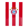 FC Bayern München Hausaufgabenheft rot-weiß gestreift Logo Heft A5 Schulheft FCB