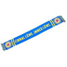 Eintracht Braunschweig Schal - Einmal Löwe. immer Löwe - blaugelb Fanschal BTSV