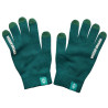 SV Werder Bremen Smartphonehandschuh grün Handschuh unisex