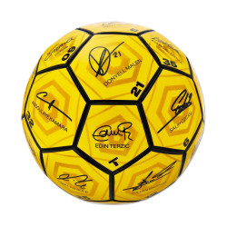 Borussia Dortmund Unterschriftenball 2023/24 Ball Signature Gr. 5 Fußball BVB 09