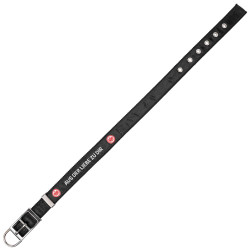 Eintracht Frankfurt Hundehalsband Klein Halsband 30-40 cm SGE