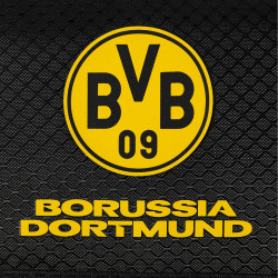 Borussia Dortmund Geldbörse - Netz - schwarzgelb Porte­mon­naie Geldbeutel BVB 09