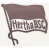 Hertha BSC Berlin Aufkleber - Fahne transparent -  mittel Sticker 8 x 8 cm HBSCB