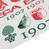 FC Augsburg Aufkleberbogen Rot-Grün-Weiß 12-teilig Sticker Aufkleberkarte FCA