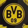 Borussia Dortmund Blechschild - Stadionhistorie - Schild BVB 09