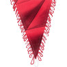 FC Bayern München Schmuckwimpel - Mia San Mia - 37 cm | ROT | Wimpel | Banner FCB