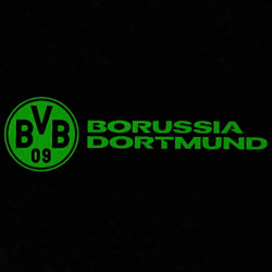 Borussia Dortmund Leuchtsticker-Set 5tlg | Aufkleberkarte | Aufkleber | nachtleuchtend | Sticker BVB 09