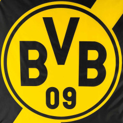 Borussia Dortmund Hissfahne - 50 Jahre Stadion - Jubiläumsedition 200 x 100 cm Fahne | Flagge BVB 09