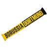 Borussia Dortmund Schal - BORUSSIA DORTMUND - schwarz|gelb Strickschal Fanschal BVB 09