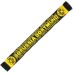 Borussia Dortmund Schal - Traditionsverein - schwarzgelb Strickschal Fanschal BVB 09