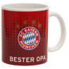 FC Bayern München Sprüchetasse rot Tasse | Kaffeetasse Logo FCB - diverse Ausführungen