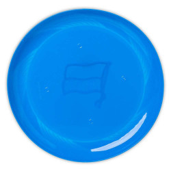 Hertha BSC Berlin Frisbee Ø 20 cm Wurfscheibe HBSCB