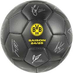 Borussia Dortmund Miniball Signature 2024/25 Unterschriftenball Gr. 1 BVB 09