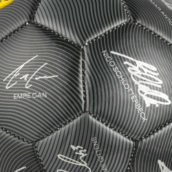 Borussia Dortmund Miniball Signature 2024/25 Unterschriftenball Gr. 1 BVB 09