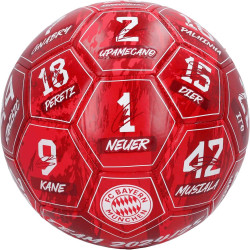 FC Bayern München Fußball Signature 2024/25 Unterschriften Ball Gr. 5 FCB