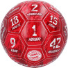 FC Bayern München Fußball Signature 2024/25 Unterschriften Ball Gr. 5 FCB
