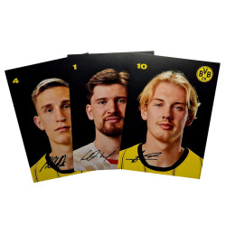 Borussia Dortmund Autogrammkarten Team 2024/25 signiert Sammelkarten Autographs card BVB 09