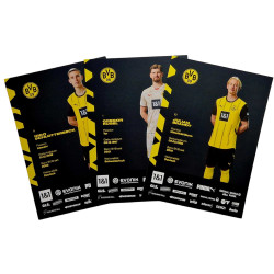 Borussia Dortmund Autogrammkarten Team 2024/25 signiert Sammelkarten Autographs card BVB 09