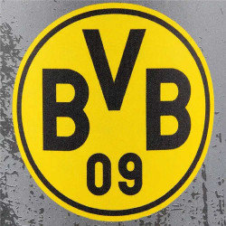 Borussia Dortmund Tasse - Heimat - grau Kaffeetasse BVB 09