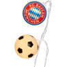 FC Bayern München Lichterkette - Logo und Ball - FCB