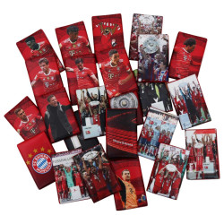 FC Bayern München Schokoladentäfelchen 15 Stück Schokolade - Plus Logo-Aufkleberkarte FCB