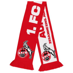 1. FC Köln Premiumschal - Aufstieg 2025 -  Schal  | Fanschal | Strickschal