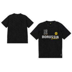 Borussia Dortmund T-Shirt - Elements - schwarz | Used-Look | Shirt | BVB 09 - Gr. S bis 3XL