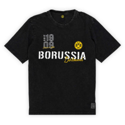 Borussia Dortmund T-Shirt - Elements - schwarz | Used-Look | Shirt | BVB 09 - Gr. S bis 3XL