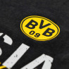 Borussia Dortmund T-Shirt - Elements - schwarz | Used-Look | Shirt | BVB 09 - Gr. S bis 3XL