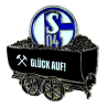 FC Schalke 04 Pin - Lore - Anstecker S04